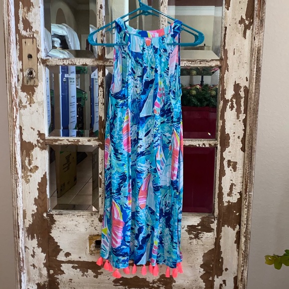 Lilly Pulitzer Roxi dress in Hey Bay Bay - Picture 3 of 5